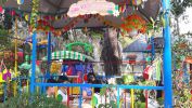 Thu Vien