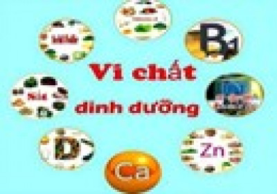 Tuyên truyền ngày vi chất dinh dưỡng
