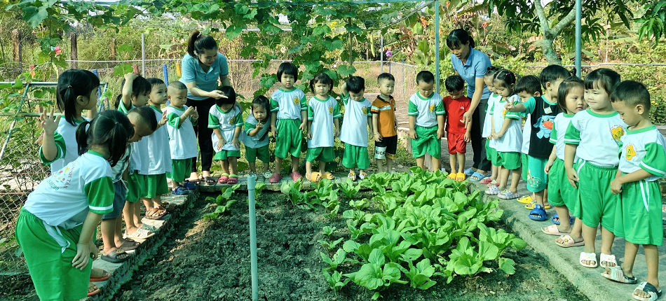 Hình ảnh 2
