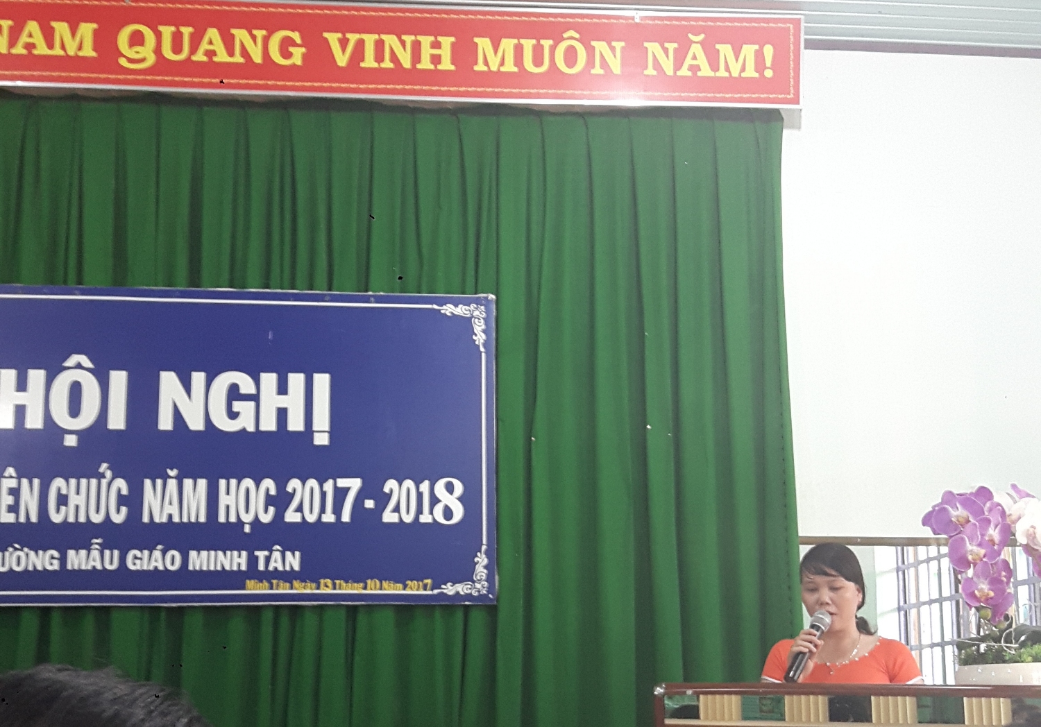hinh co