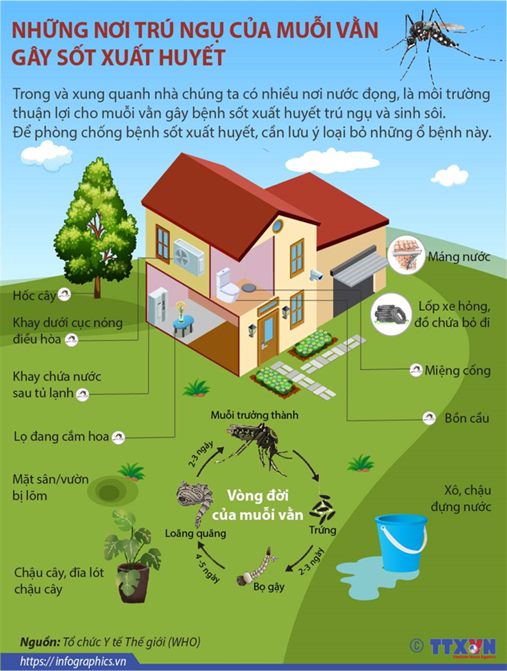 CÁCH DIỆT MUỖI DIỆT LĂNG QUĂNG ĐƠN GIẢN AI CŨNG LÀM ĐƯỢC ĐỂ PHÒNG NGỪA SỐT XUẤT HUYẾT