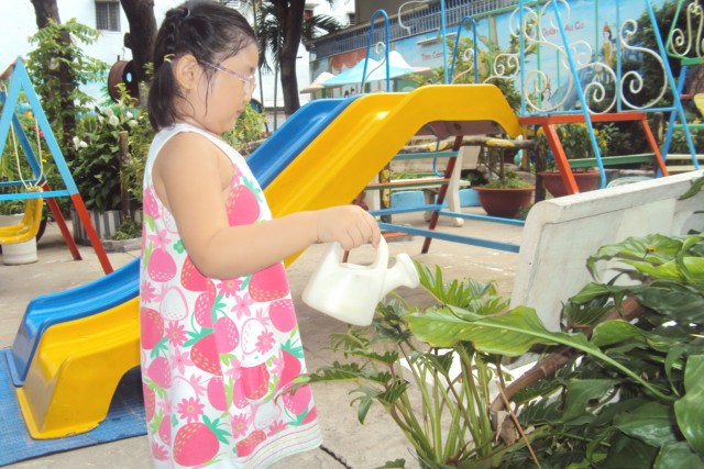 tưới