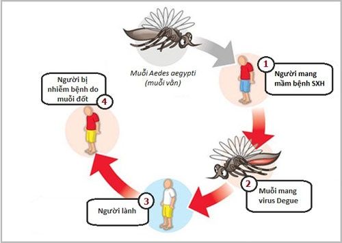 Tuyên truyền phòng bệnh sốt xuất huyết