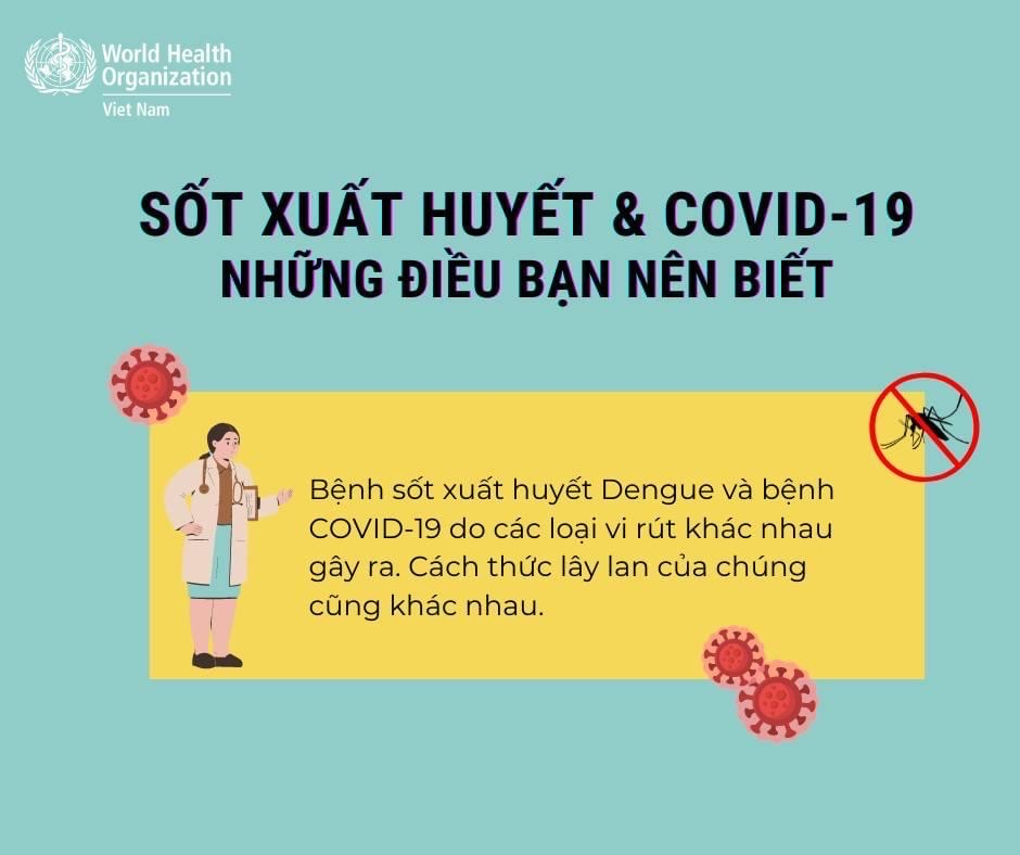 Sốt xuất huyết và Covid - 19 những điều bạn nên biết