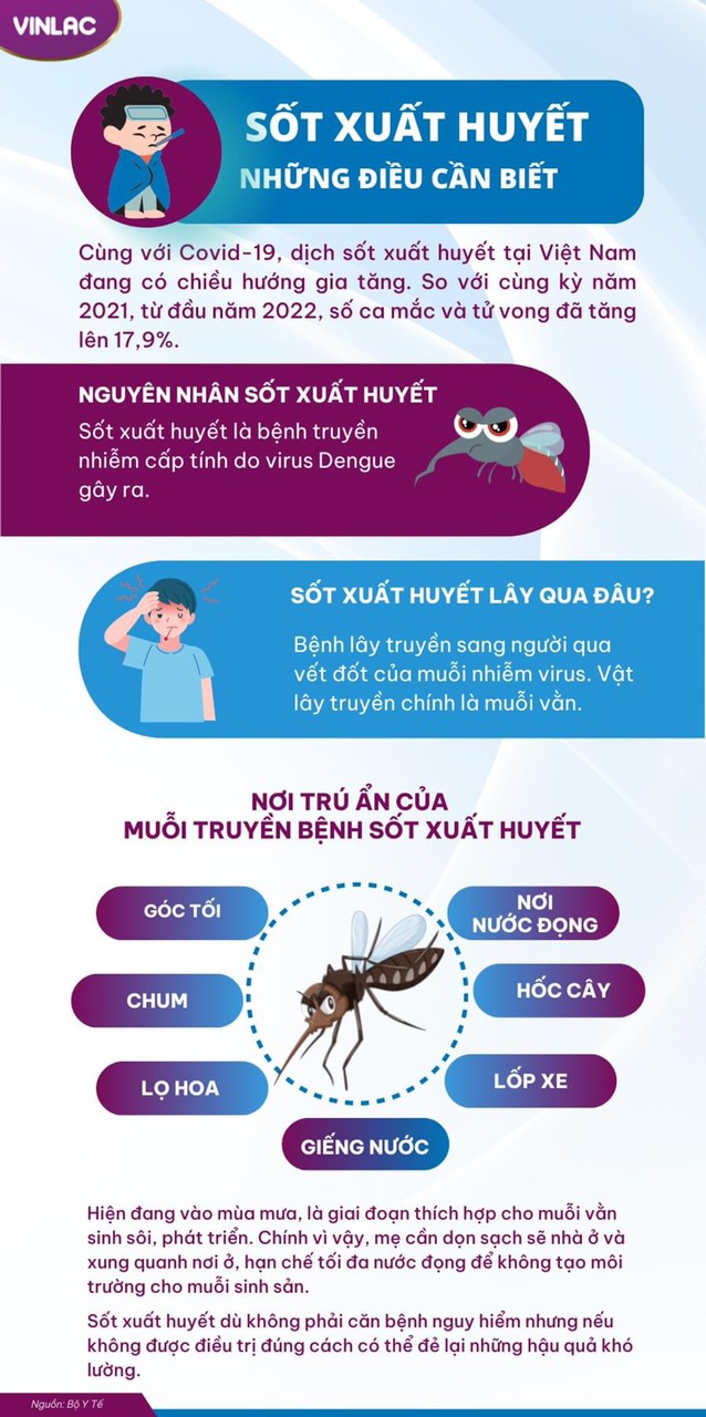 Sốt xuất huyết những điều cần biết